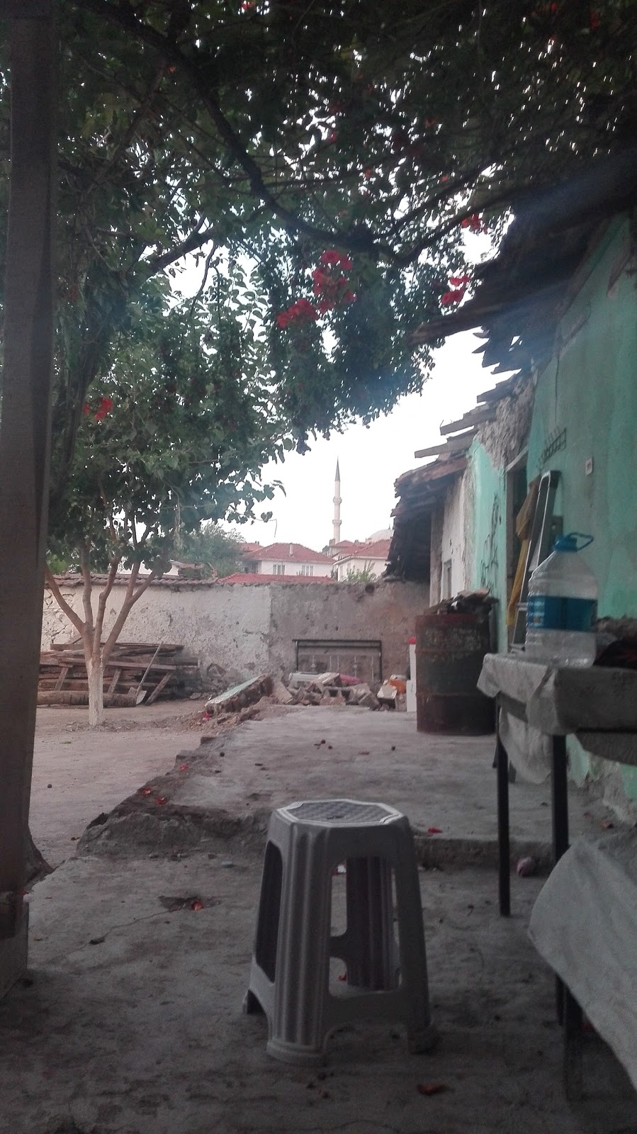 Kocaavşar Ortaokulu Fotoğrafları 6