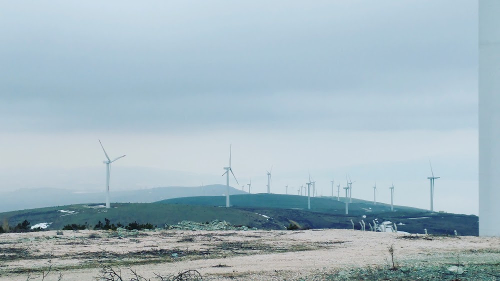 Bandırma Erikli İlkokulu Fotoğrafları 6