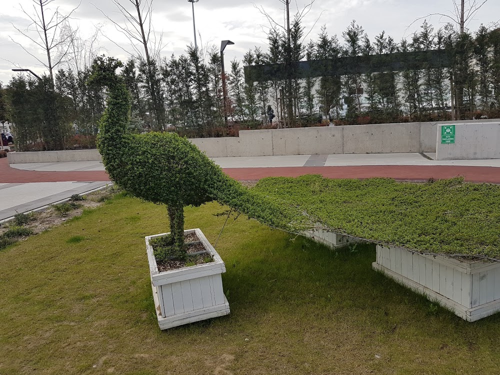 Bandırma Ticaret Borsası Ortaokulu Fotoğrafları 3