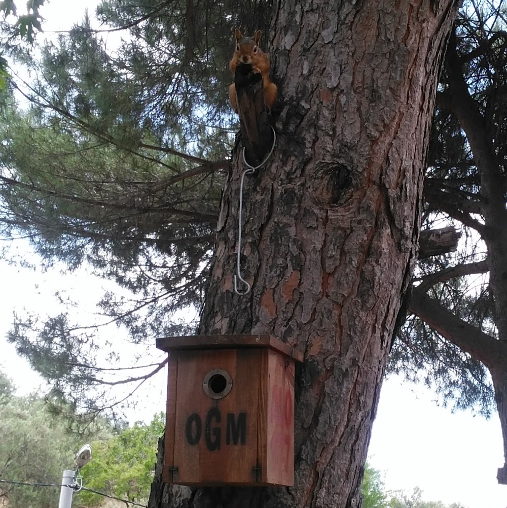 Balıkesir Dutluca İlkokulu Fotoğrafları 2