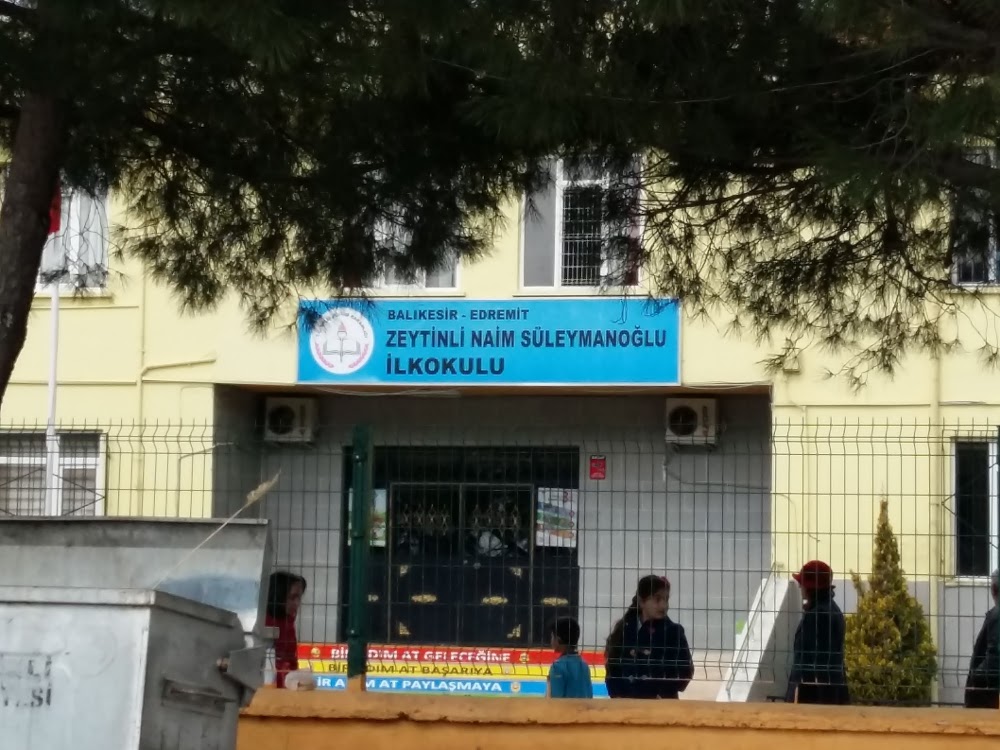 Zeytinli Naim Süleymanoğlu İlkokulu Fotoğrafları 1