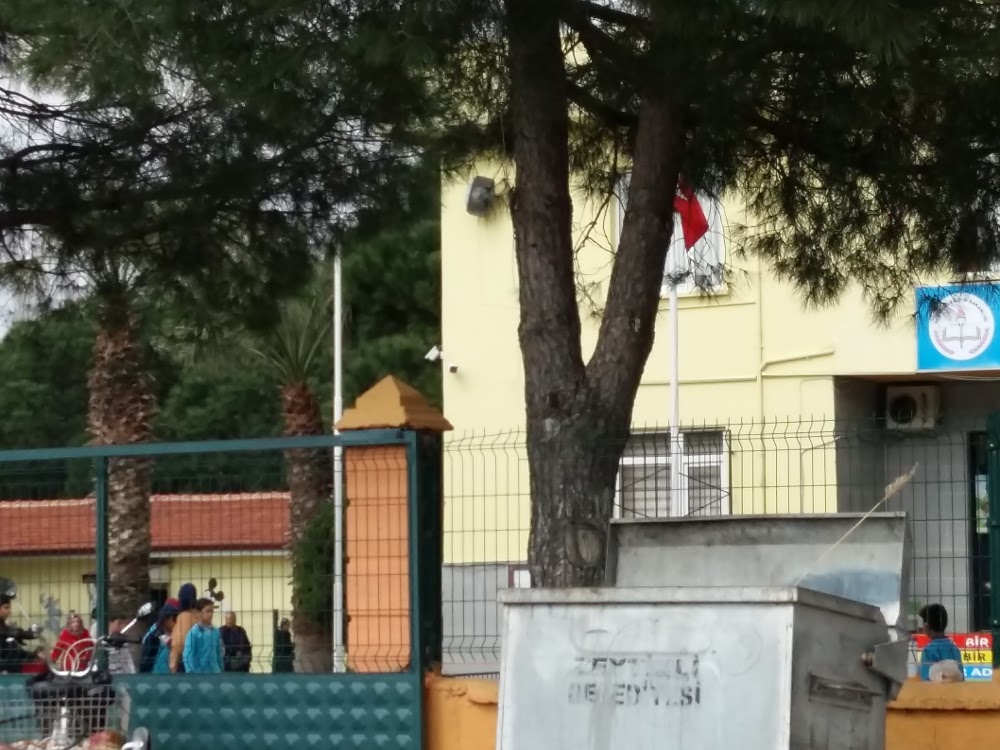 Zeytinli Naim Süleymanoğlu İlkokulu Fotoğrafları 2