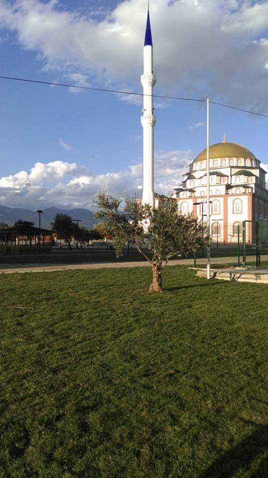 Edremit Anadoluimam Hatip Lisesi Fotoğrafları 3