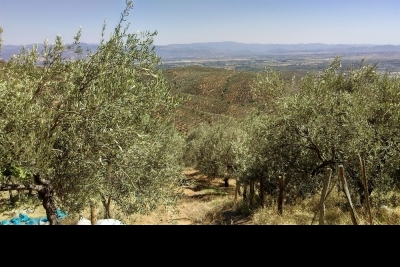 Ortaoba Eşref Kaya İlkokulu fotoğraf 1