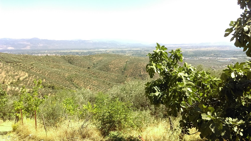 Ortaoba Eşref Kaya Ortaokulu Fotoğrafları 3
