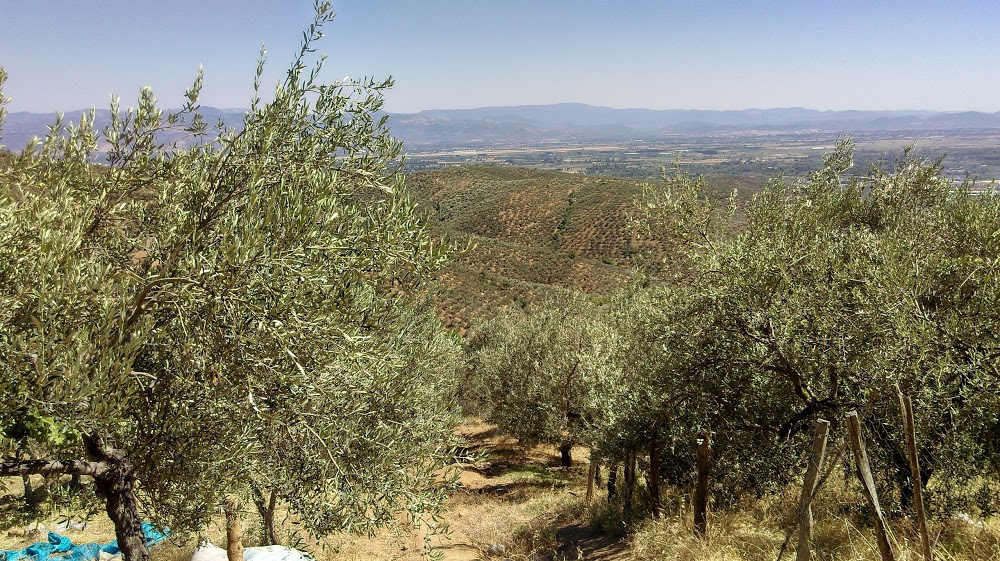 Ortaoba Eşref Kaya Ortaokulu Fotoğrafları 1