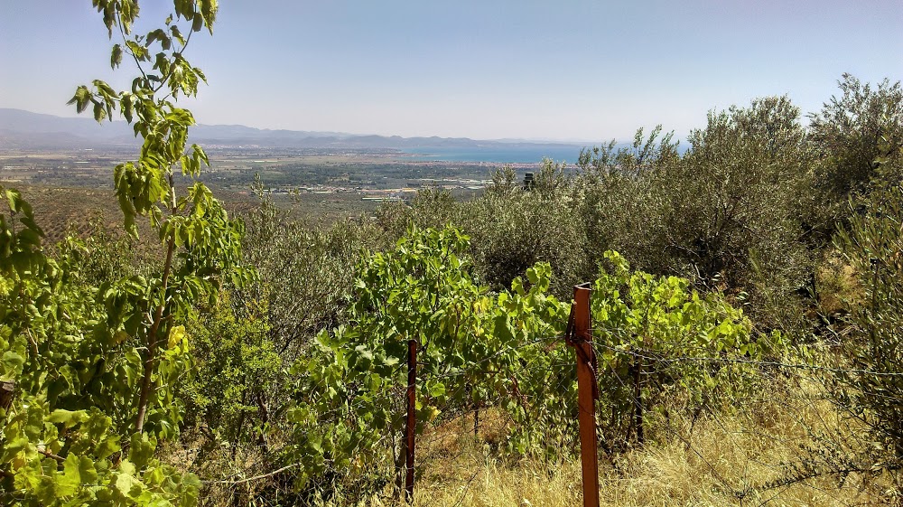 Ortaoba Eşref Kaya İlkokulu Fotoğrafları 4