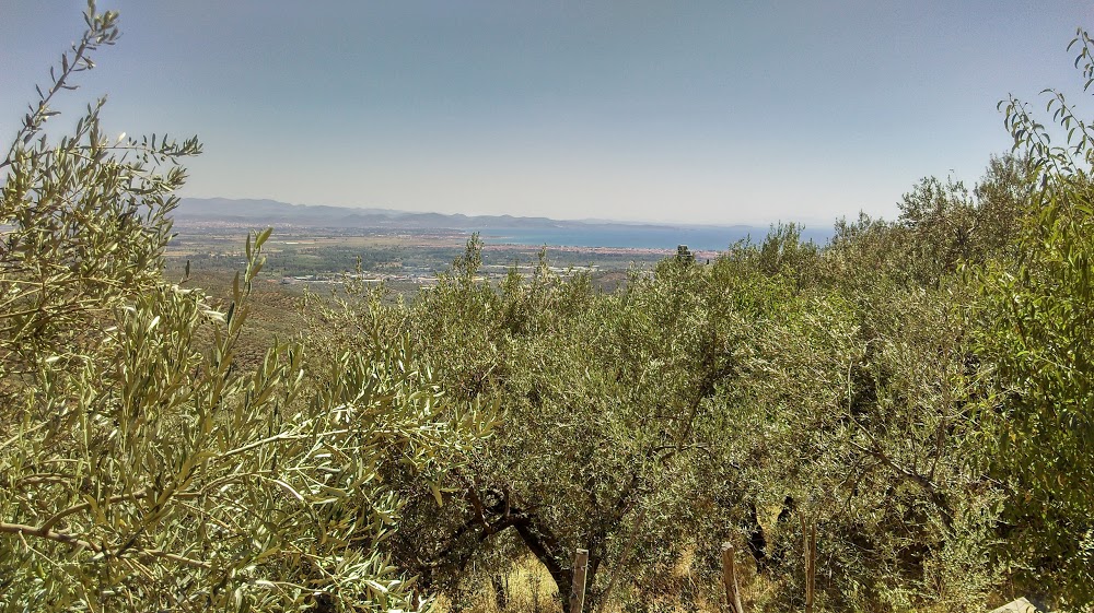 Ortaoba Eşref Kaya İlkokulu Fotoğrafları 6