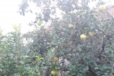 Gönen Hasanbey İlkokulu fotoğraf 3