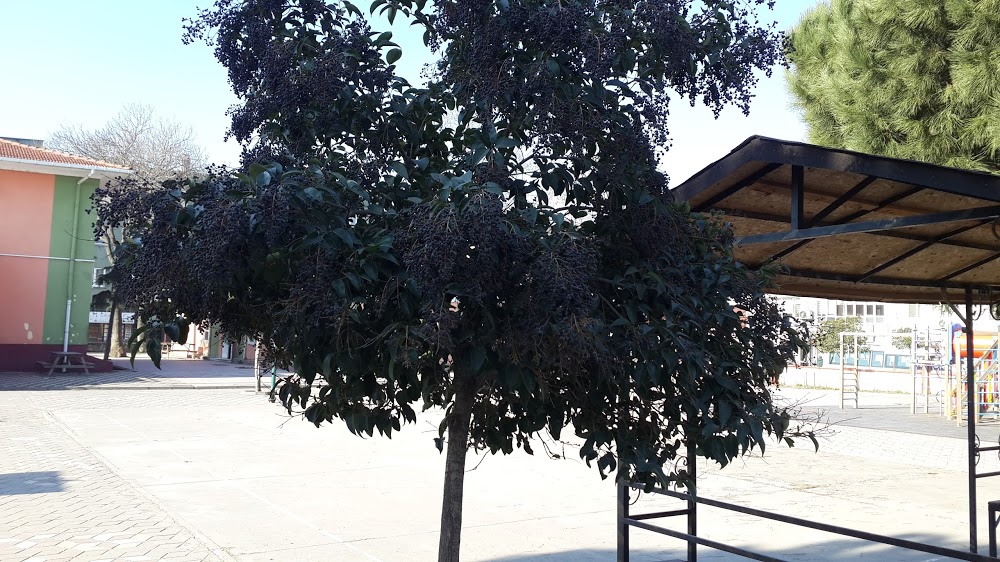 Şehit Kaymakam Rahmi Bey İlkokulu Fotoğrafları 2