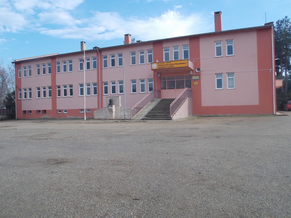 Gökçeyazı Çok Programlı Anadolu Lisesi Fotoğrafları 1