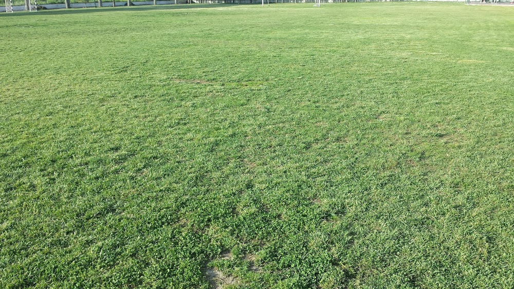 Sırrı Yırcalı Anadolu Lisesi Fotoğrafları 3