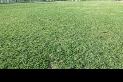 Sırrı Yırcalı Anadolu Lisesi fotoğraf 3