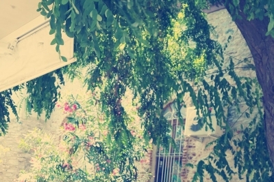 Marmara Merkez İlkokulu fotoğraf 6