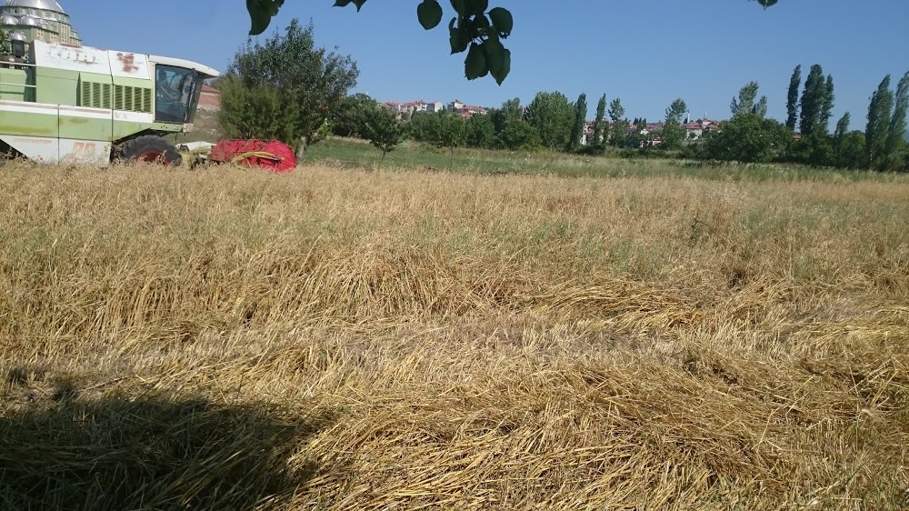 Savaştepe Anadolu İmam Hatip Lisesi Fotoğrafları 1