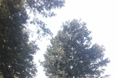 Bigadiç Işıklar Ortaokulu fotoğraf 1