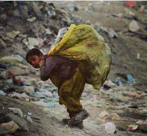 Ağrı 15 Temmuz Şehitleri İlkokulu Fotoğrafları 1