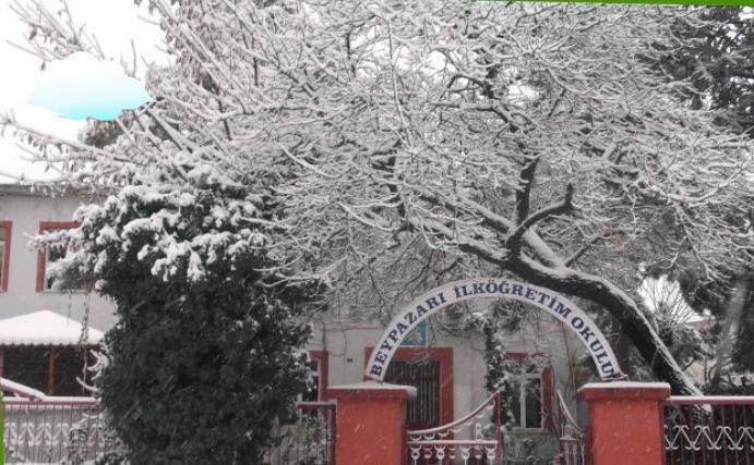 Çayırlıoğlu İlkokulu kampüs fotoğrafı