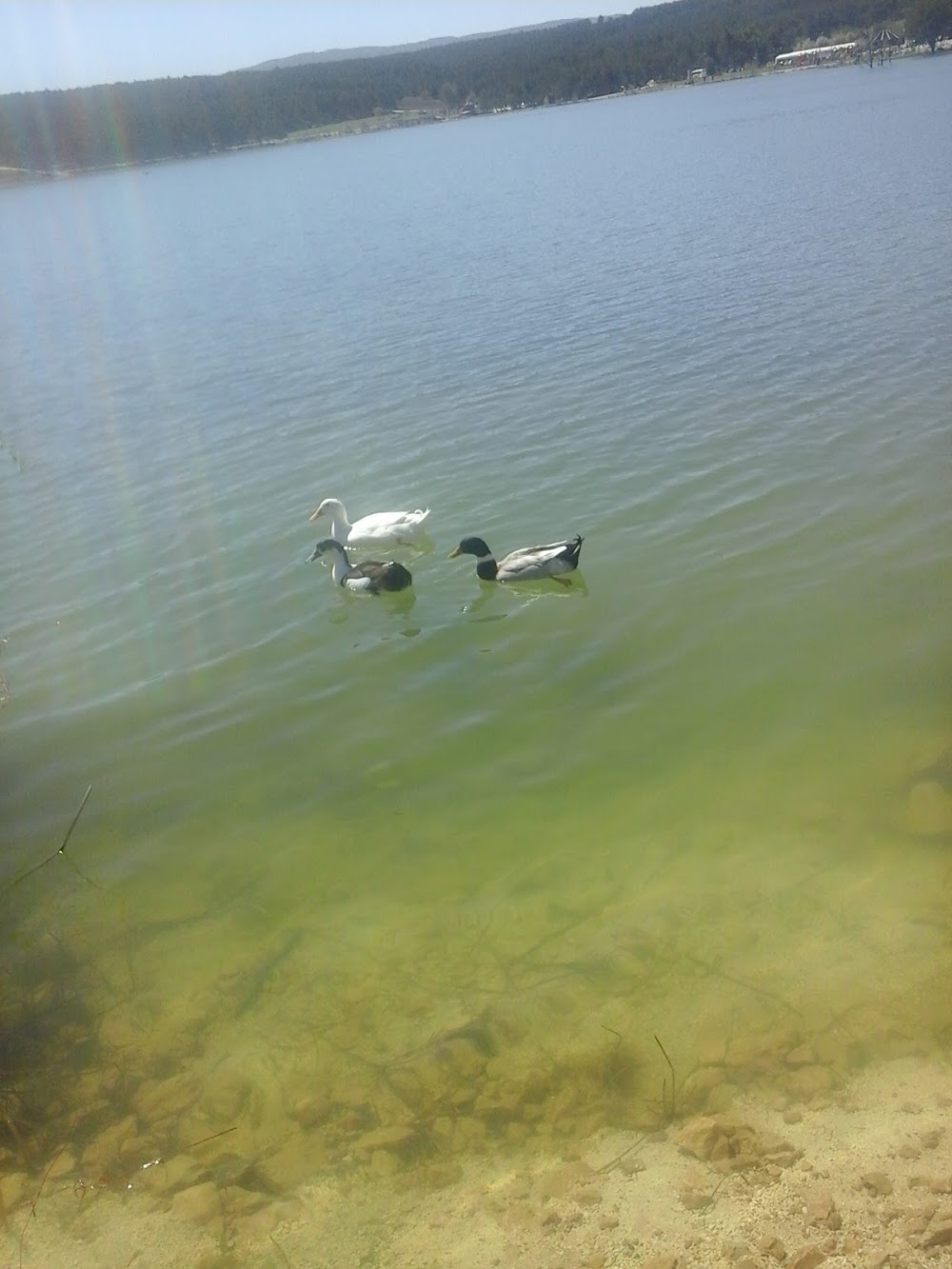 Vezirhan Ortaokulu Fotoğrafları 2