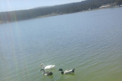 Vezirhan Ortaokulu fotoğraf 2
