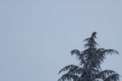 Muratdere İlkokulu fotoğraf 3