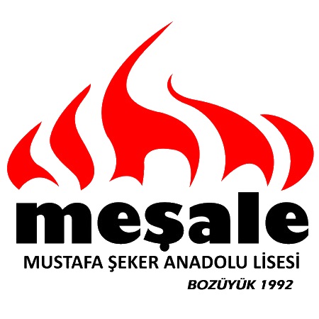 Mustafa Şeker Anadolu Lisesi Fotoğrafları 1