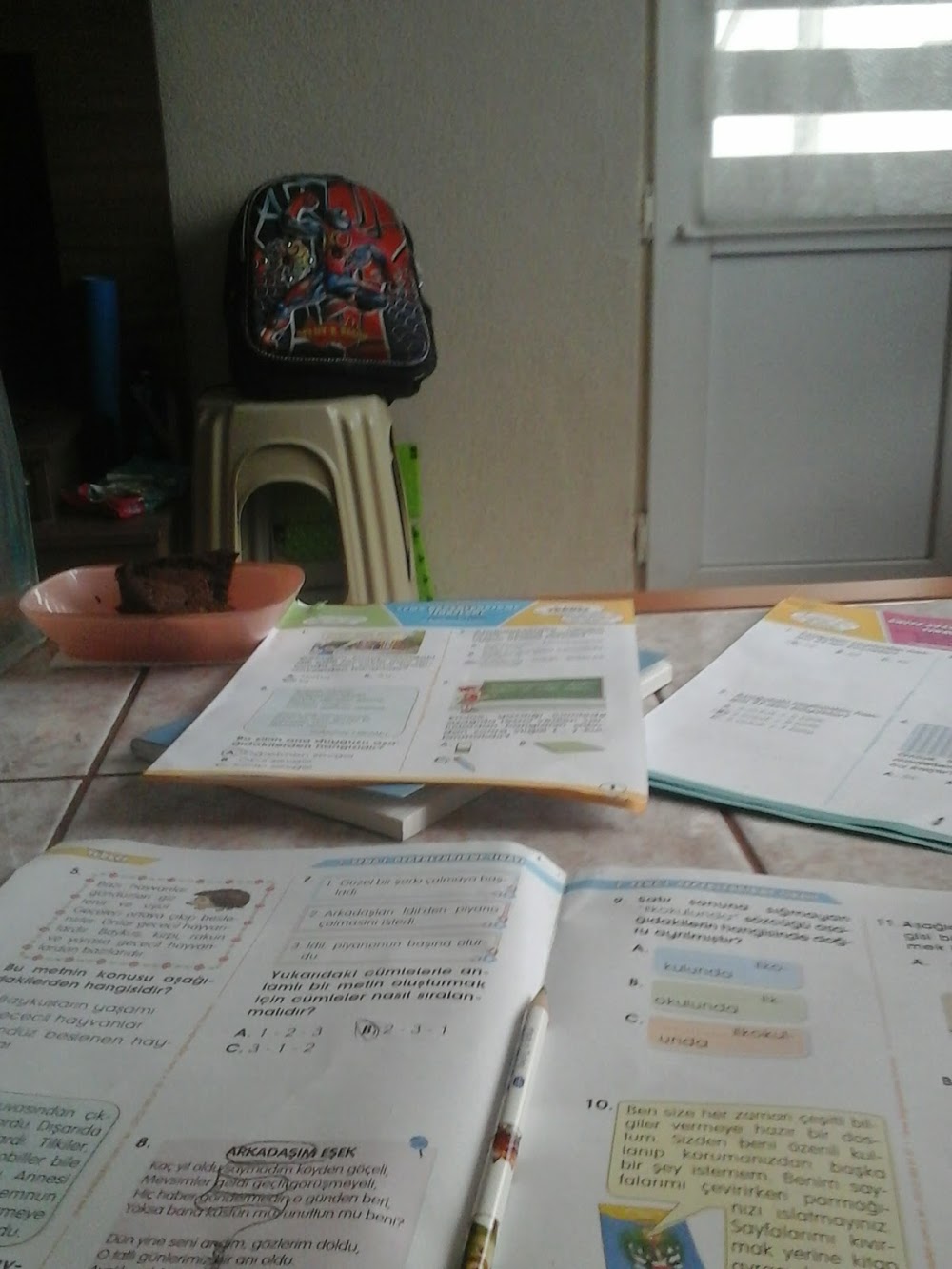 Osmaneli Balaban İlkokulu Fotoğrafları 2