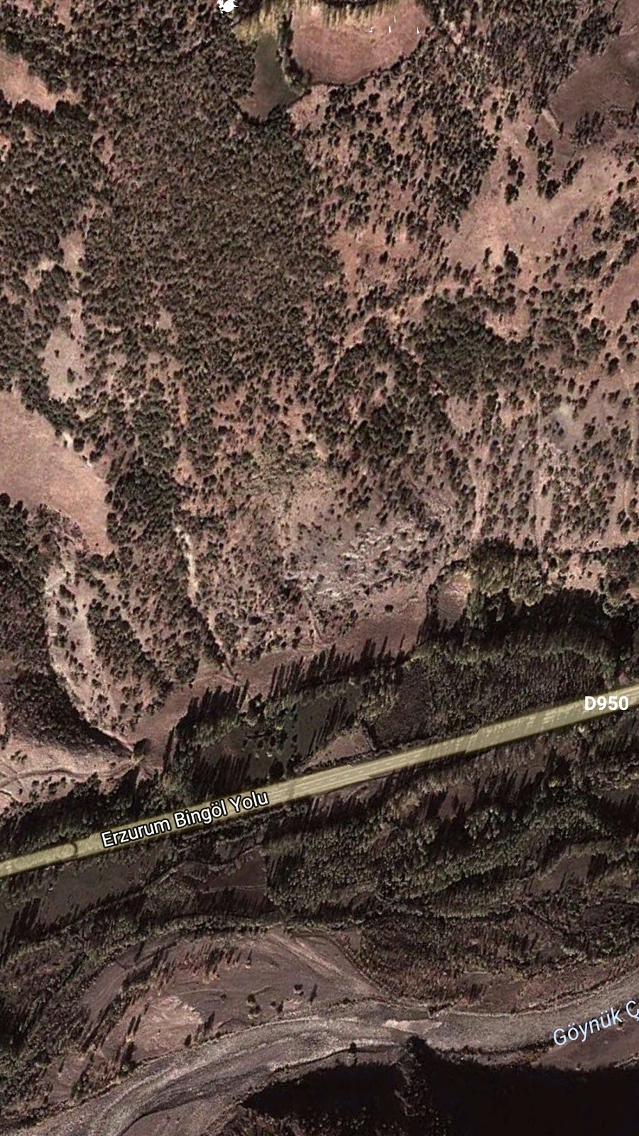 Bingöl Elmalı İlkokulu Fotoğrafları 1