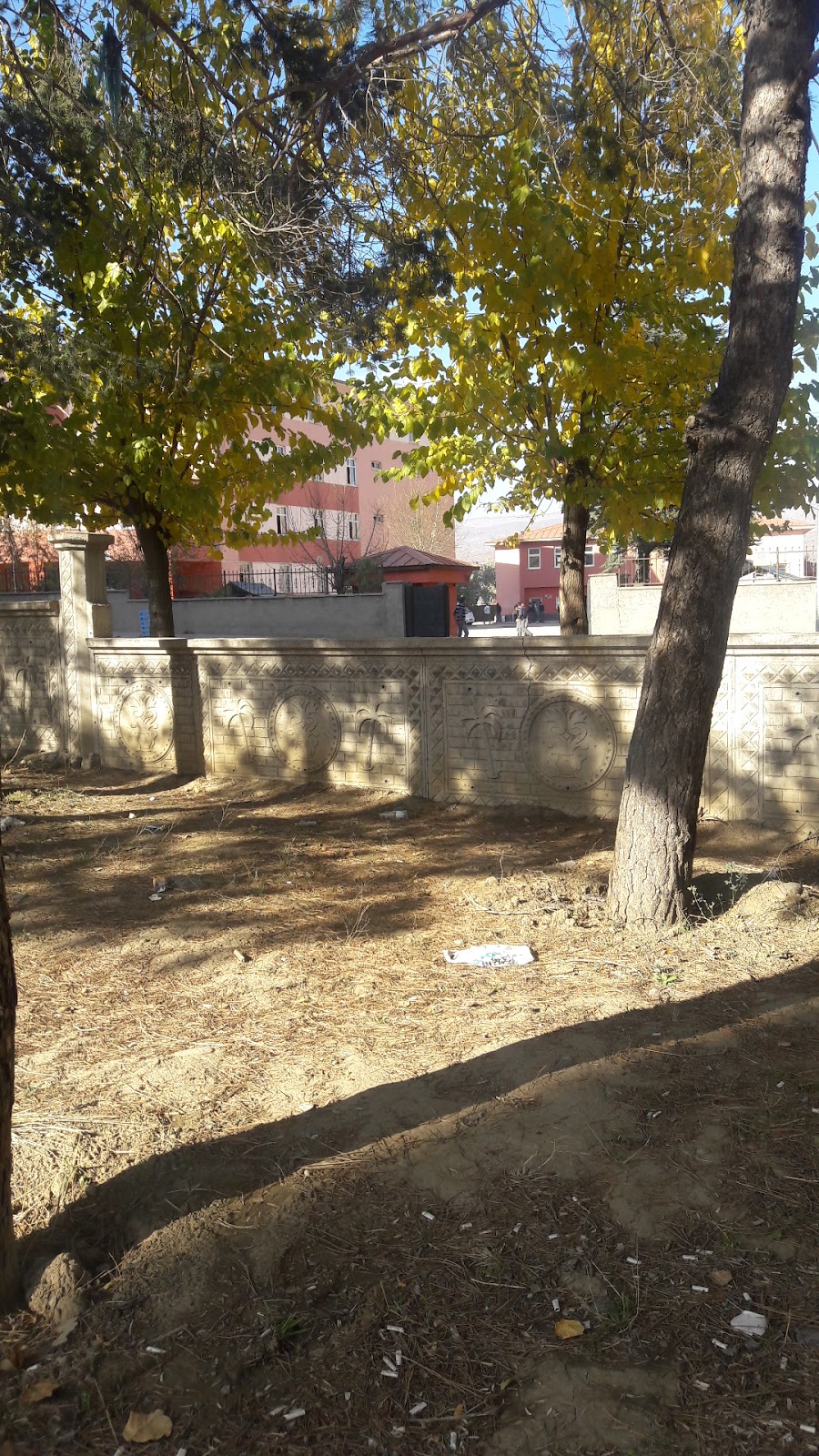 Bingöl Atatürk Anadolu Lisesi Fotoğrafları 4