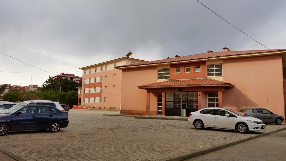 Bingöl Bingöl Mevlana Anadolu Lisesi Fotoğrafları 2