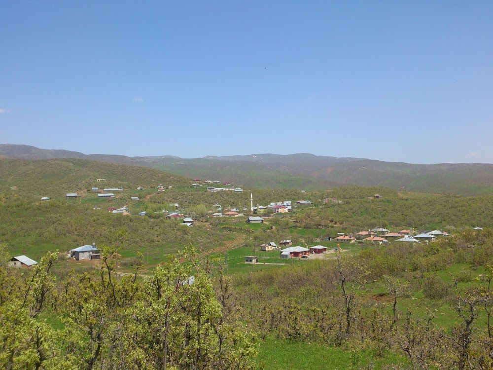 Çukurca Yeni Yerleşim İlkokulu Fotoğrafları 2