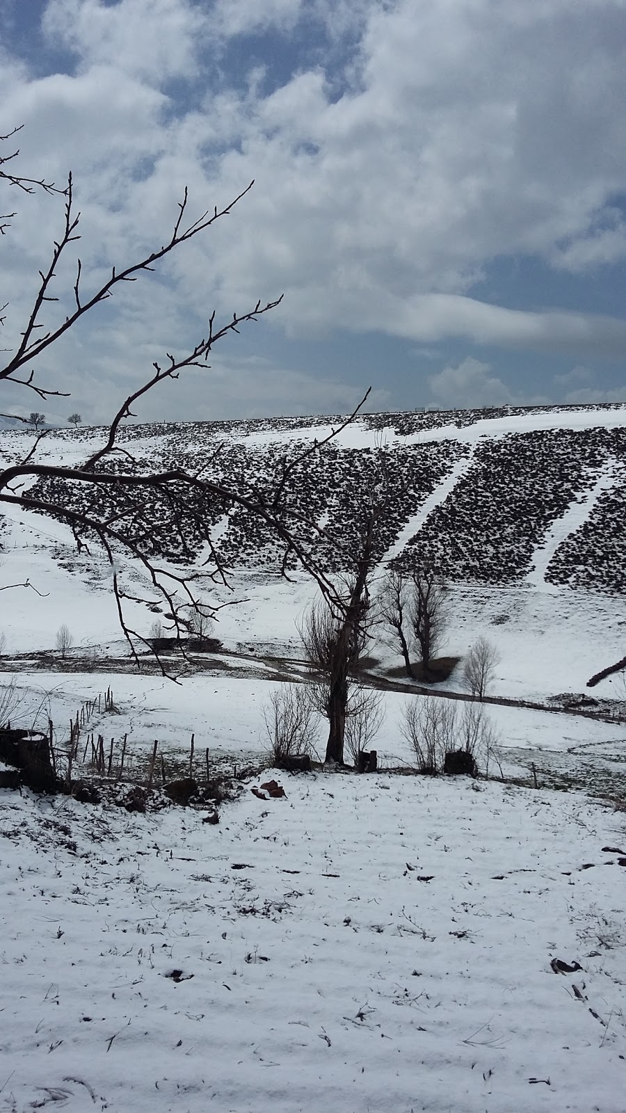 Bingöl Hasanova İlkokulu Fotoğrafları 1