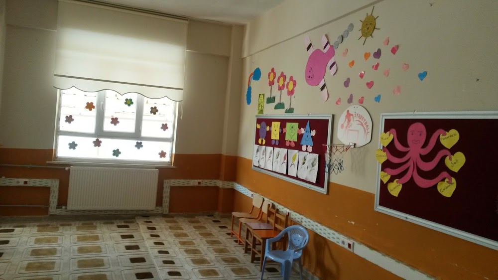 Elmadüzü İlkokulu Fotoğrafları 2