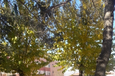İmkb Bingöl Anadolu Lisesi fotoğraf 2