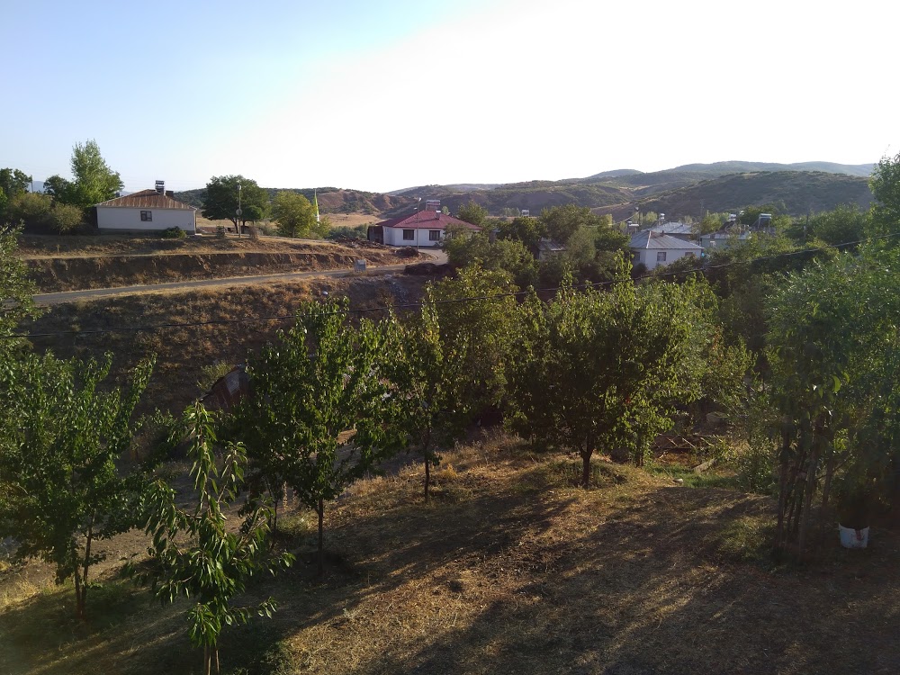 Ormanardı İlkokulu Fotoğrafları 1