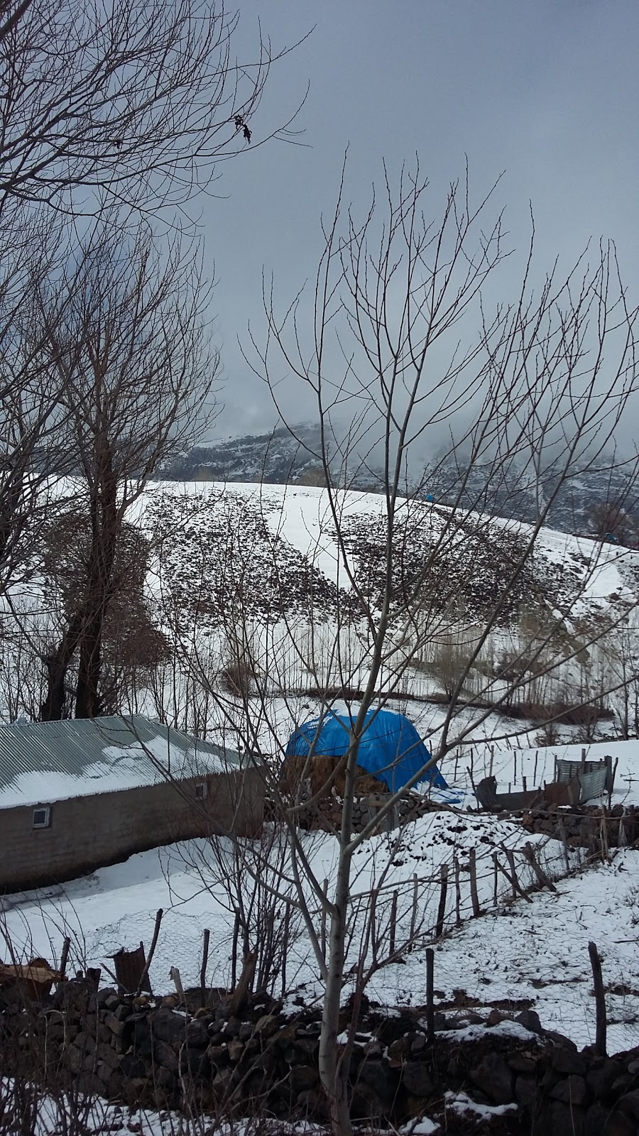 Karlıova Kale İlkokulu Fotoğrafları 2