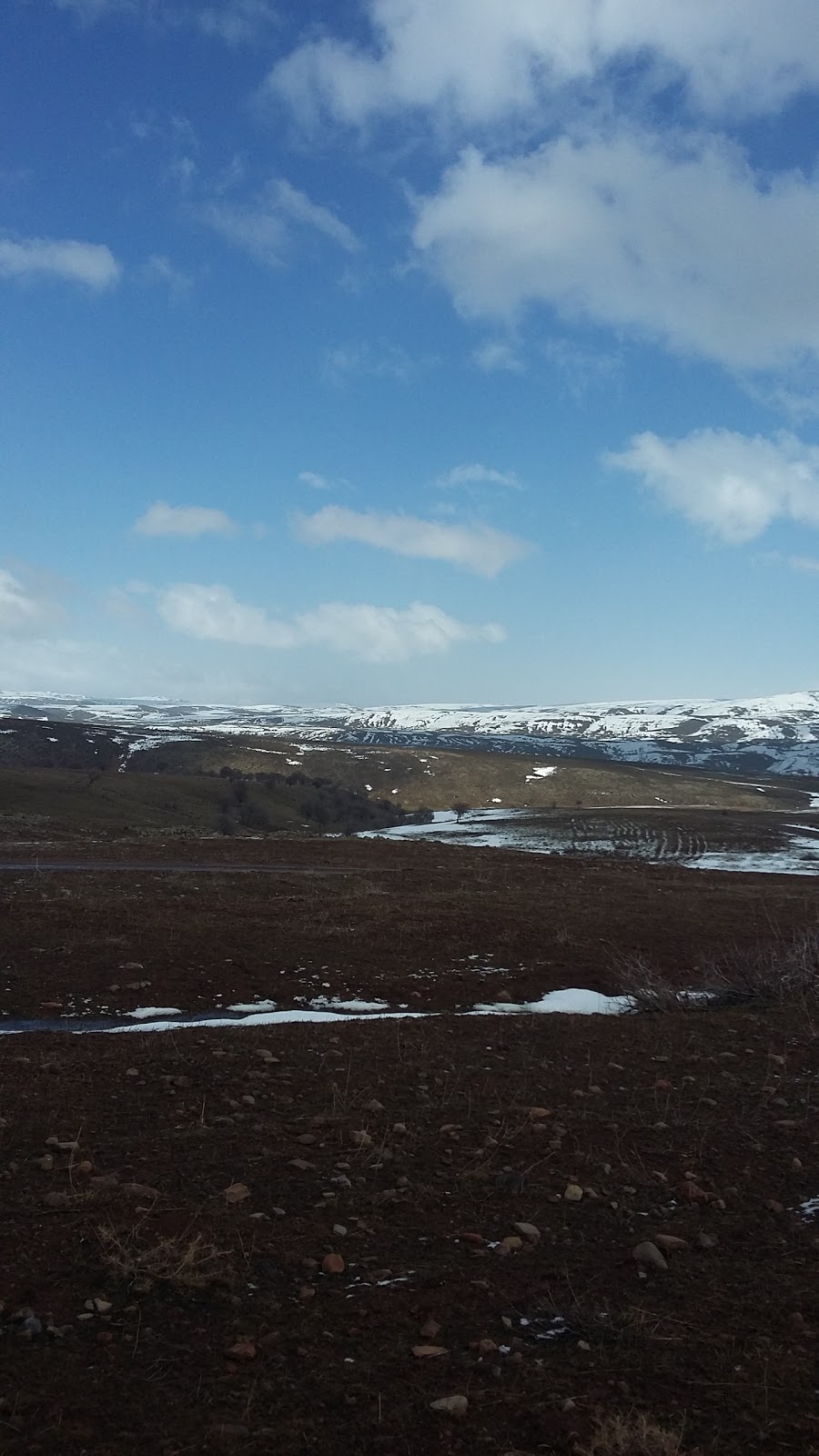 Serpmekaya İlkokulu Fotoğrafları 3