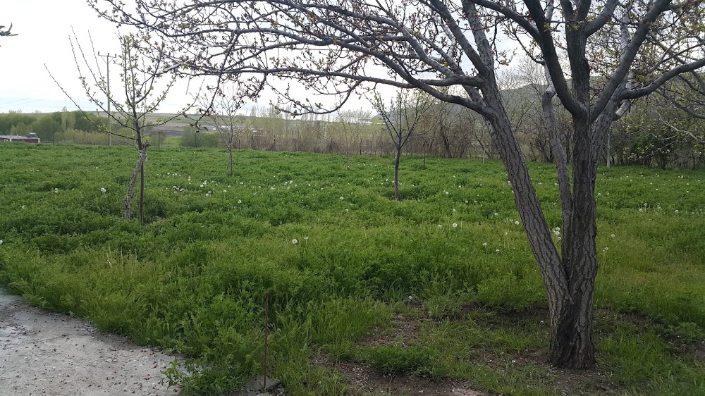 Bahçedere Köyü İlkokulu Fotoğrafları 2