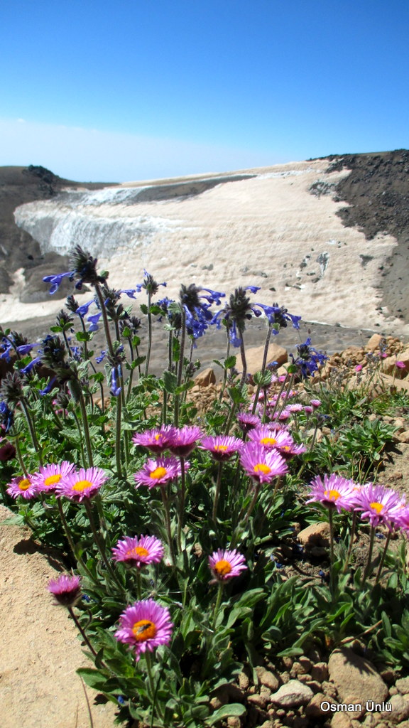 Süphandağı Anadolu Lisesi Fotoğrafları 2