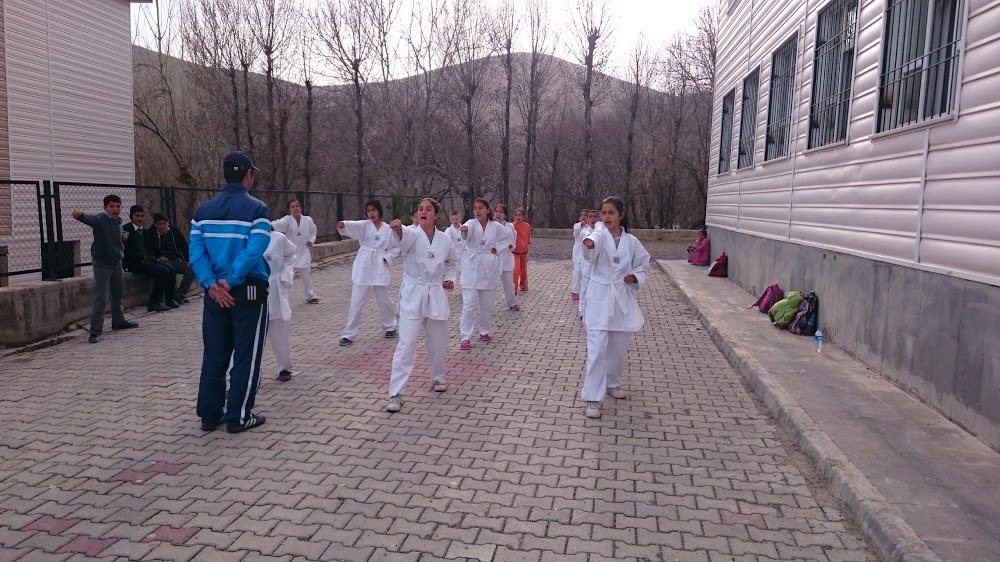 Adilcevaz Atatürk İlkokulu Fotoğrafları 1