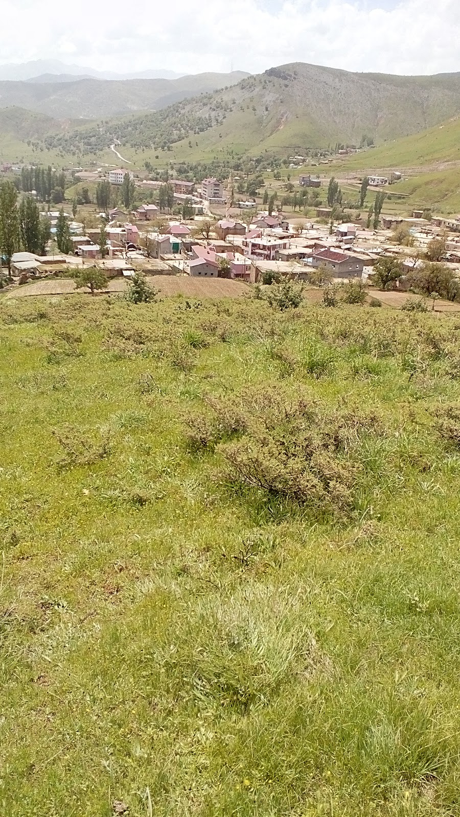 Arıdağ Köyü Ortaokulu Fotoğrafları 1