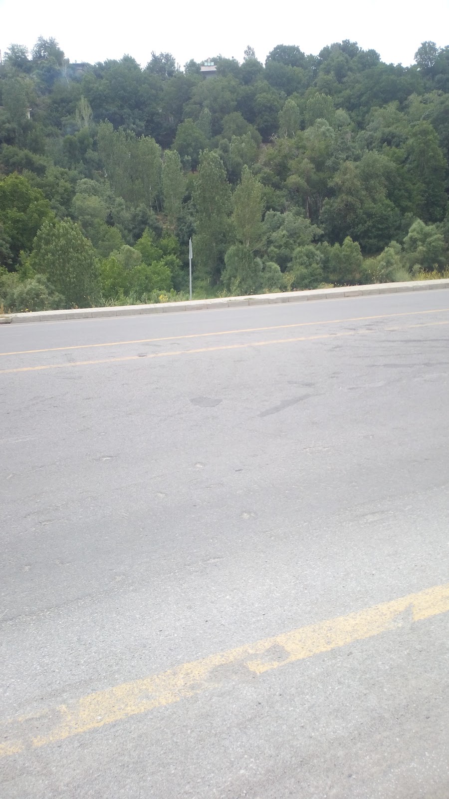 Bitlis Mng Kargo İlkokulu Fotoğrafları 2