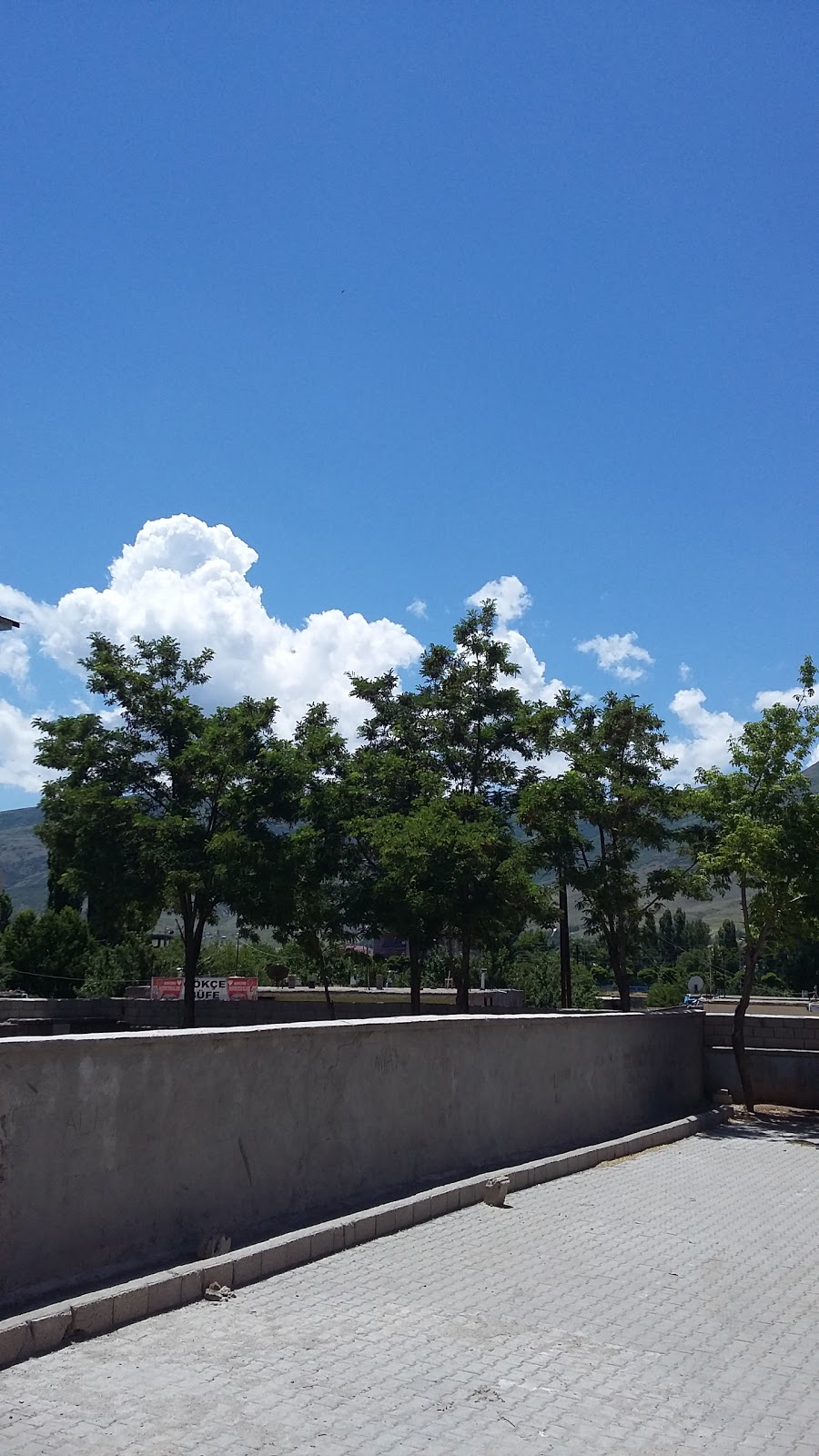 Güroymak 100. Yıl İlkokulu Fotoğrafları 1