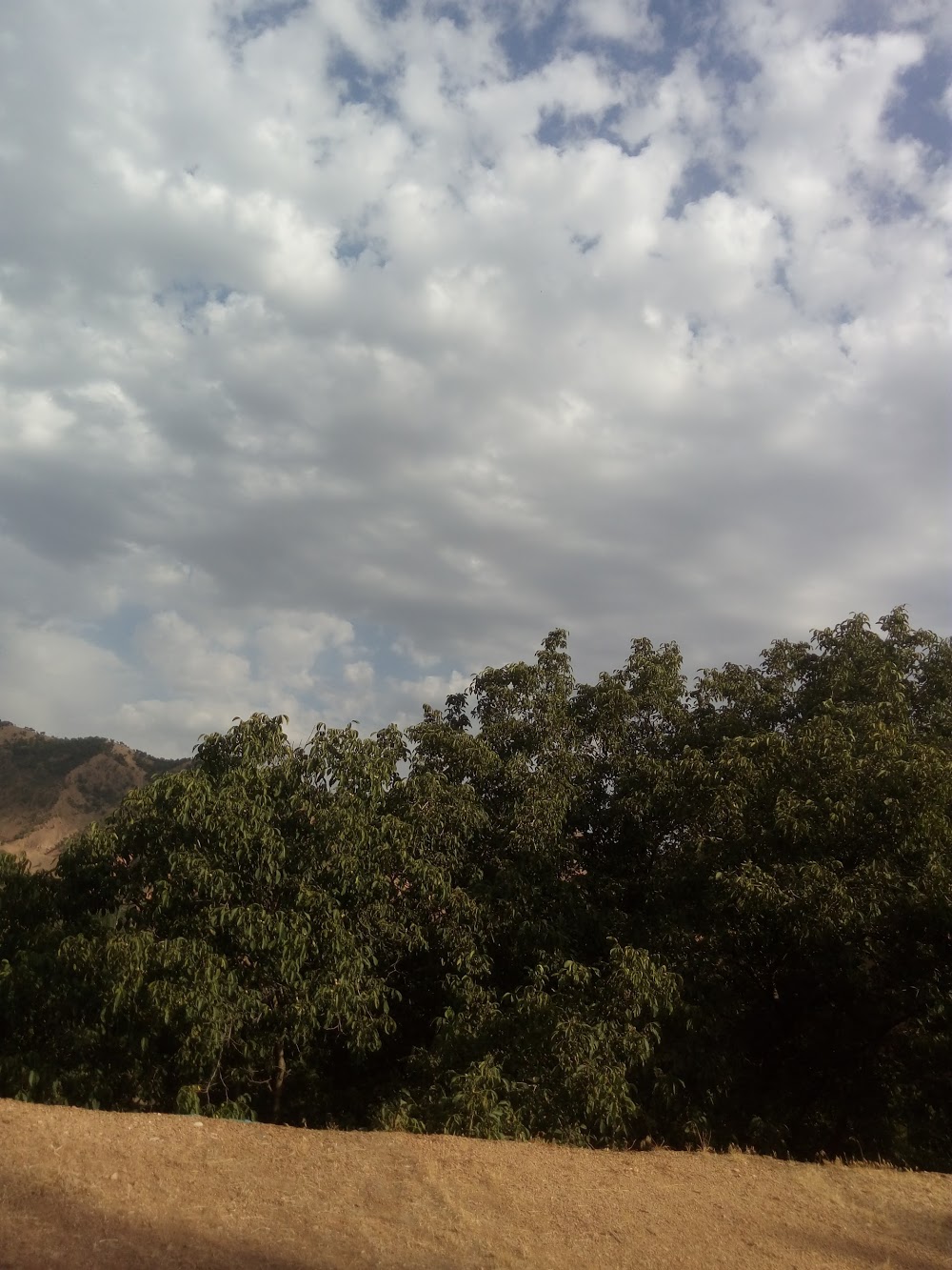 Çatakdeğirmen Köyü İlkokulu Fotoğrafları 1