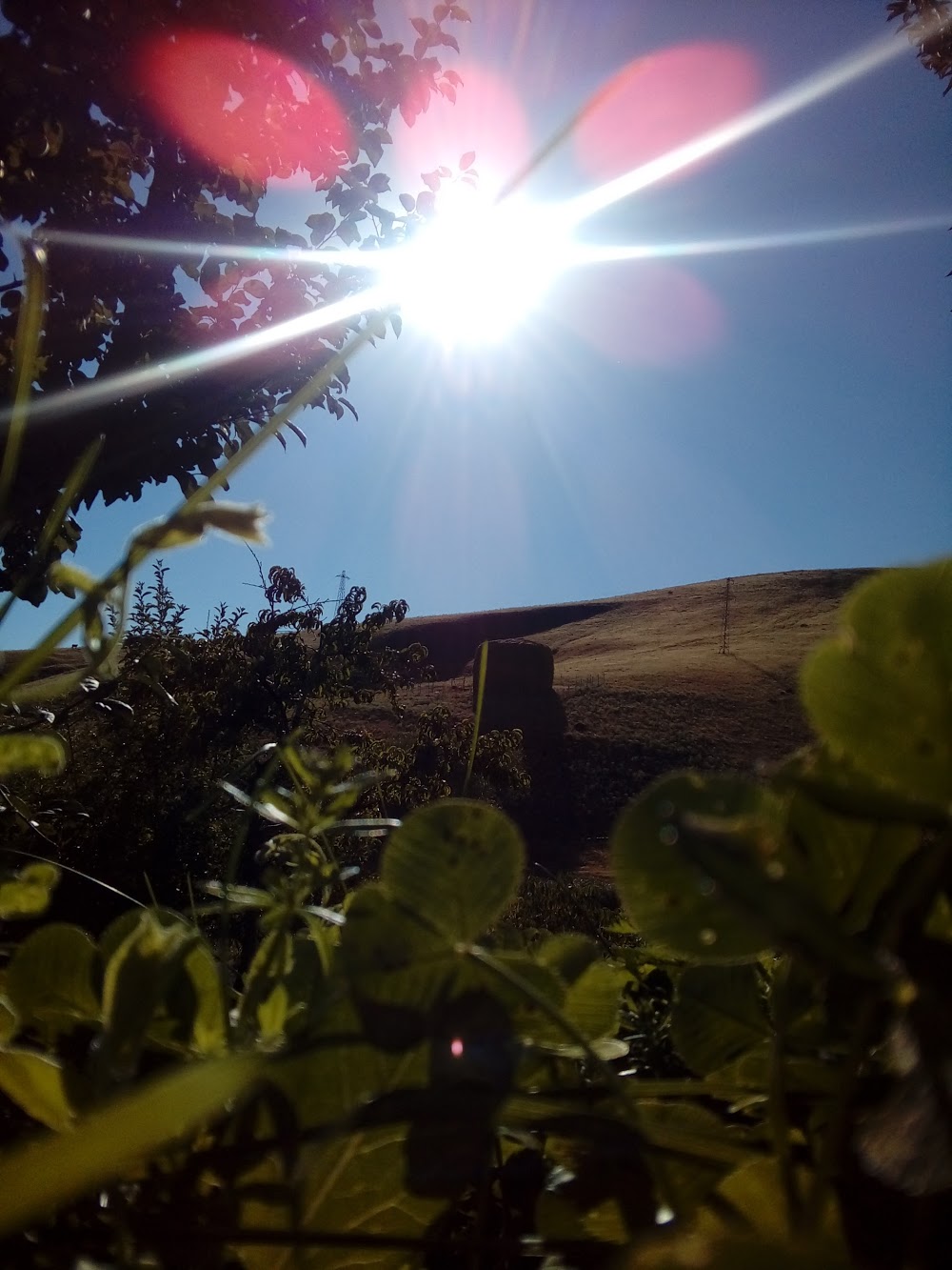 Alacabük Ortaokulu Fotoğrafları 1