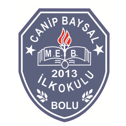 Canip Baysal İlkokulu Fotoğrafları 3