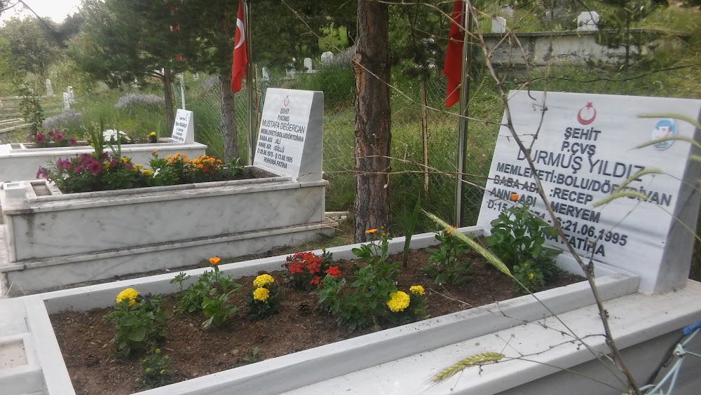 Dörtdivan Çok Programlı Anadolu Lisesi Fotoğrafları 2