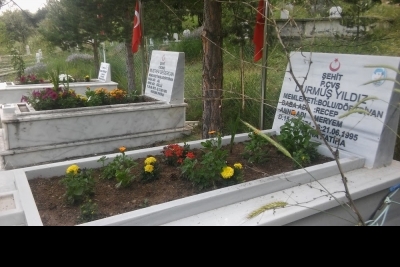 Dörtdivan Çok Programlı Anadolu Lisesi fotoğraf 2