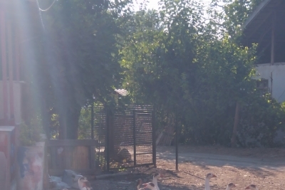 Çobanlar Göynük İlkokulu fotoğraf 2