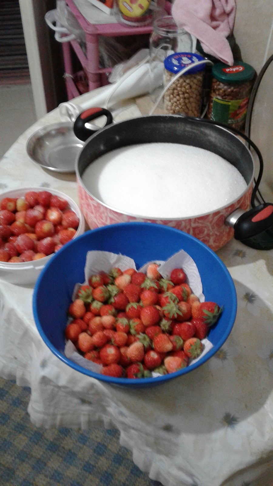 Mengen İlkokulu Fotoğrafları 1